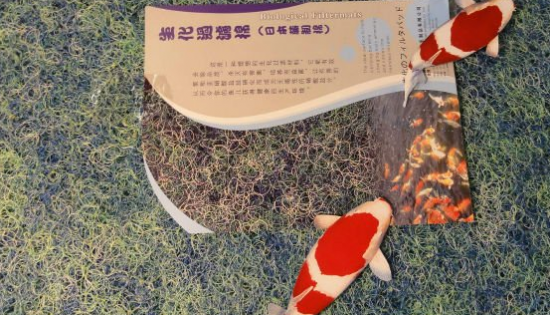 关于锦鲤鱼池过滤的要点讲解