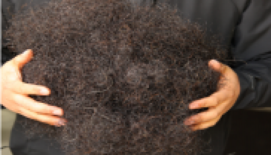 为什么“马尾毛”被称为软垫的理想填充材料？