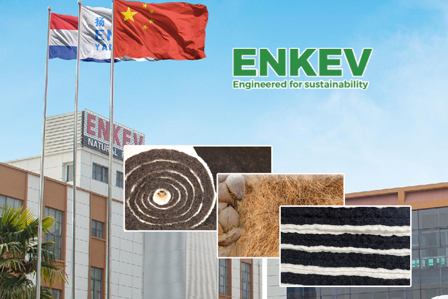 为什么马毛床垫会得到用户青睐？揭秘其天然优势与独特